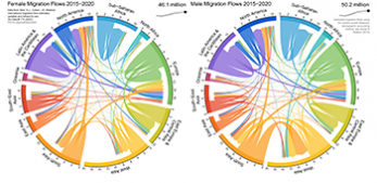 Global migration flows by sex 