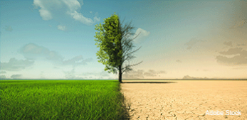 Climate change impacts internal migration worldwide