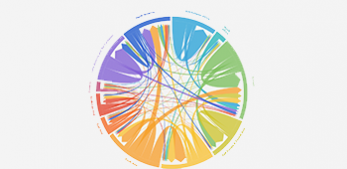 New IIASA online tool to visualize global migration patterns